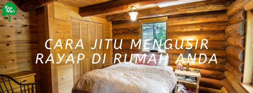 Cara Jitu Mengusir Rayap di Rumah Anda